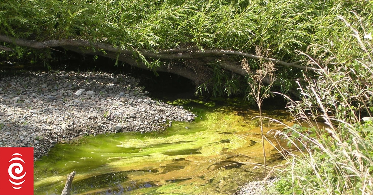 Council questions if dam worth it RNZ News