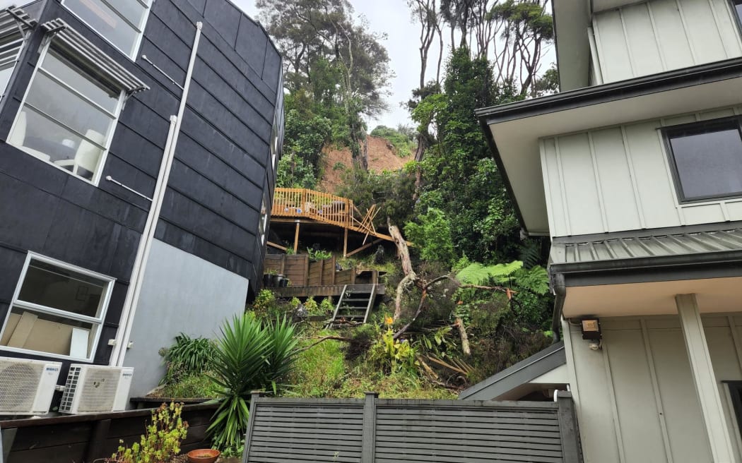 Damage caused by a slip on Scenic Drive in West Auckland's Swanson on 1 February.