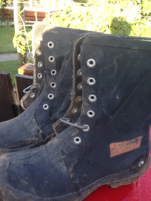 Gumboots with laces new arrivals
