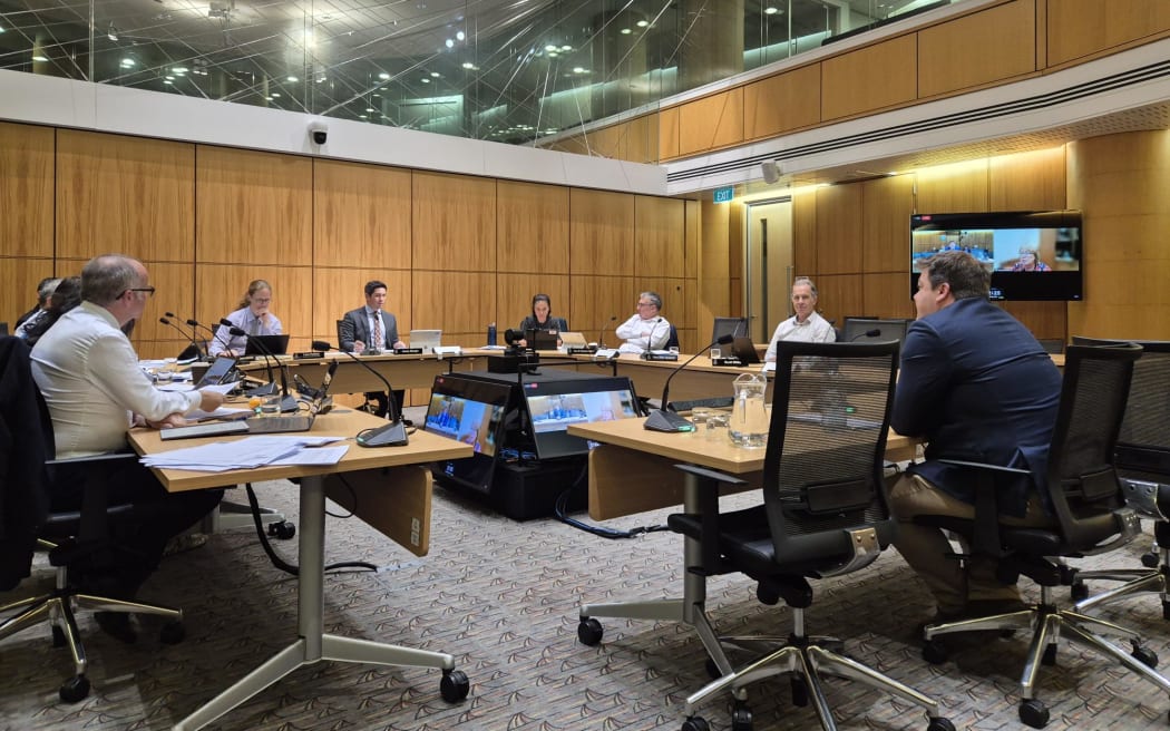 MPs heard from a range of submitters including Ben Allen (pictured) from Airsoft Sports New Zealand. Photo/Anneke Smith.