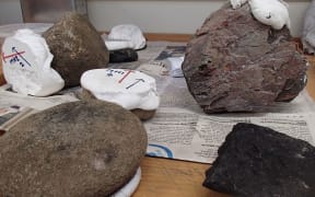 Hangi stones of various ages with their orientation marked on a plaster of paris cap photo Alison Ballance