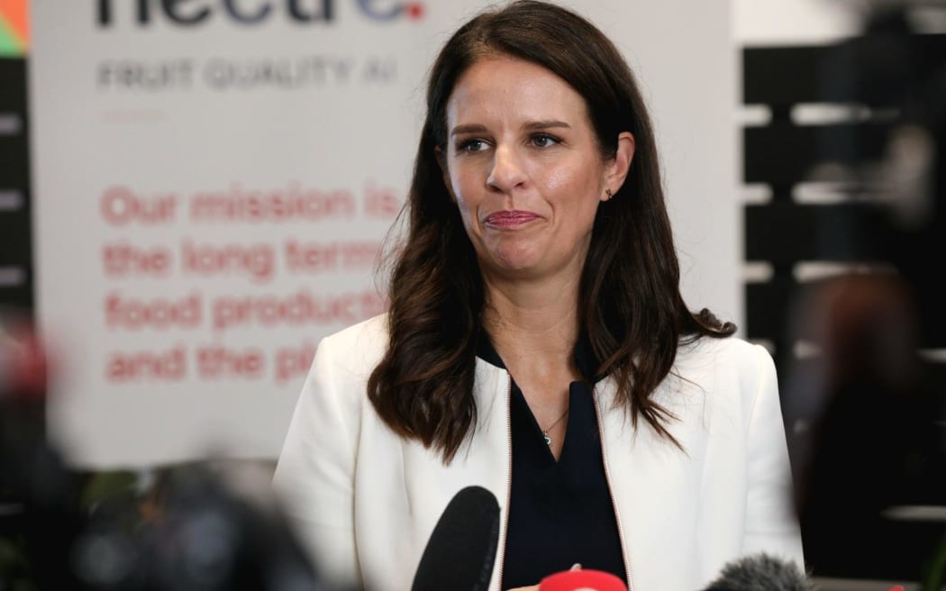 Immigration Minister Erica Stanford