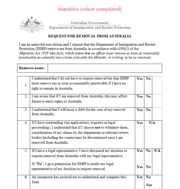 no metadata