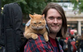 Still from A Street Cat Named Bob
