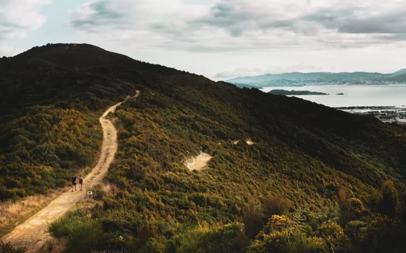 Rahui placed on Te Whiti Riser track in Lower Hutt after death | RNZ