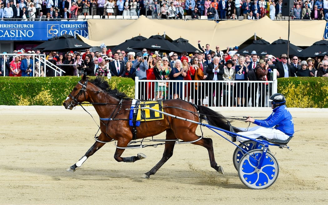 Self Assured and driver Mark Purdon win the 2020 NZ Trotting Cup at Addington Raceway,