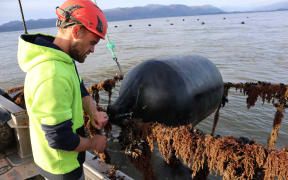 Nelson mussel farmer Johnny Arbuckle.