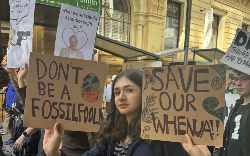 Climate protest in Wellington