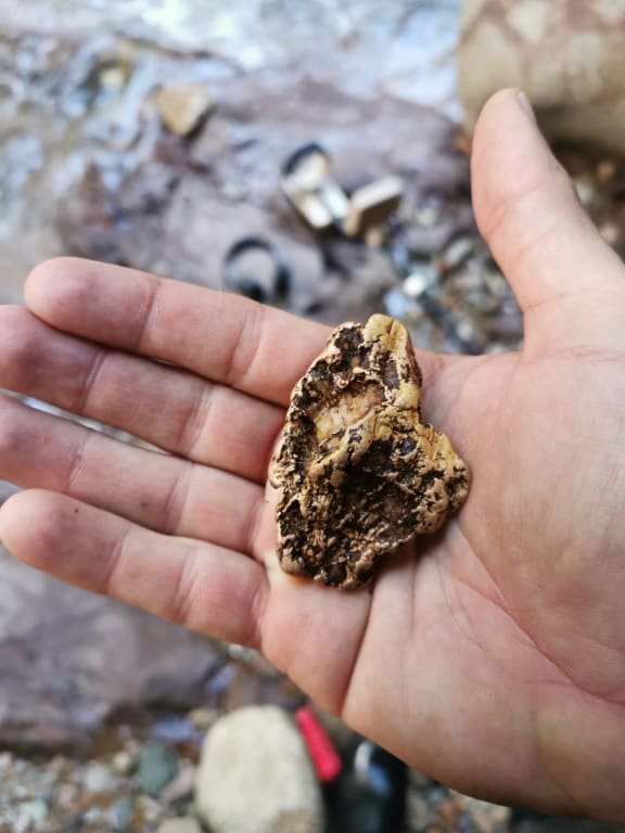 The gold nugget found by Craig Douglas