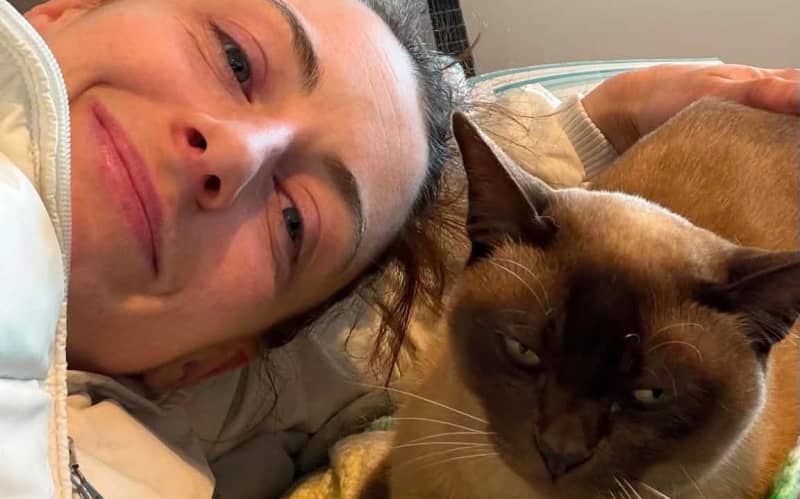 Norton the cat safe at home with his owner Renee Wadsworth.