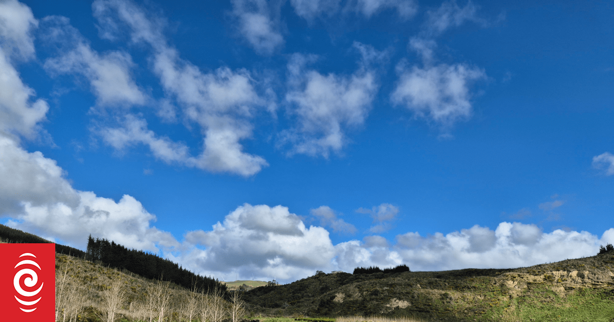 Country Life: Farming trees the Tāmata Hauhā way