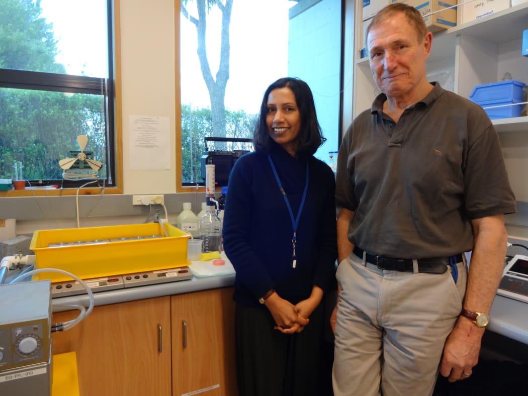 Food scientists Suman Mishra and John Monro with a in-vitro digester which stimulates the processes that happen in the stomach and small intestine.