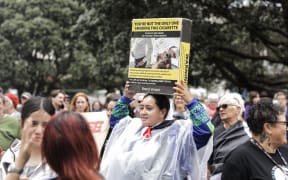 The Smokefree rally at Parliament, 13 December, 2023.