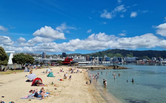 Freyburg Beach in Wellington on 10 January 2024, a day when the capital's temperature was expected to reach 25C.