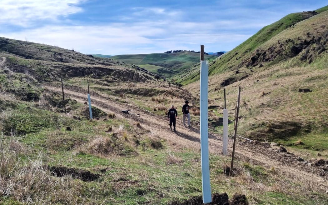 Erosion poles