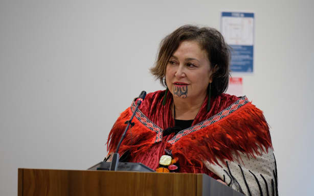 Greater Wellington to vote on Māori ward in 2025 elections | RNZ