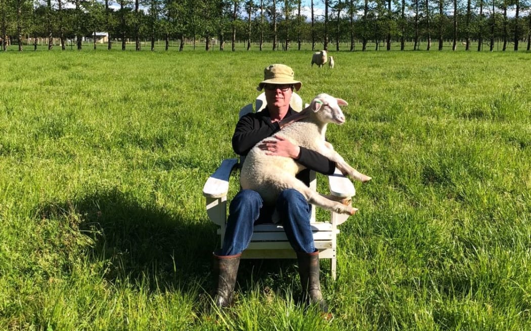 Journalist Greg Dixon with one of his lambs