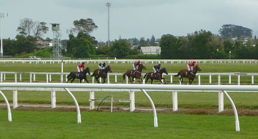 Horse Racing at Te Rapa
