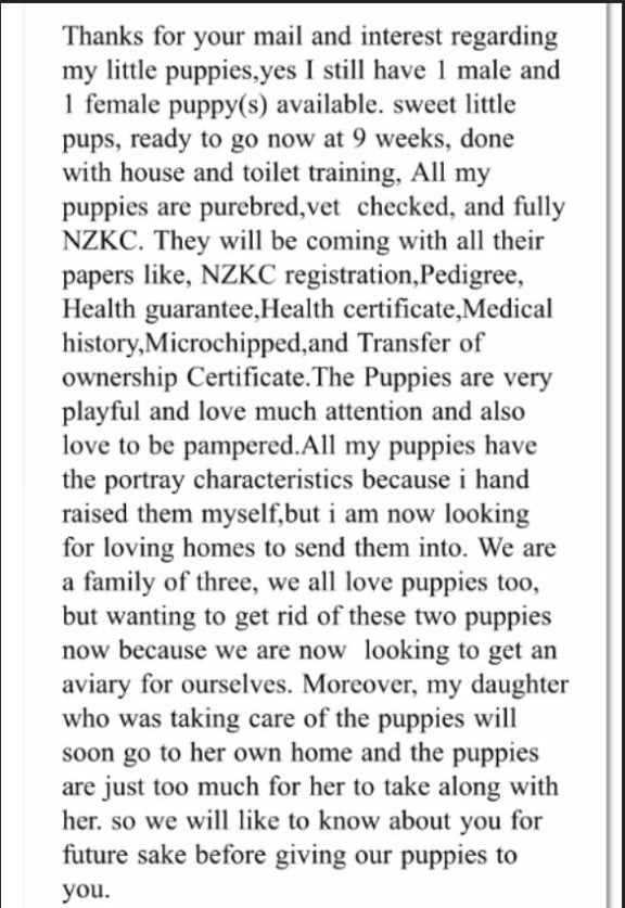 Police example of a standard reply from a fake puppy seller