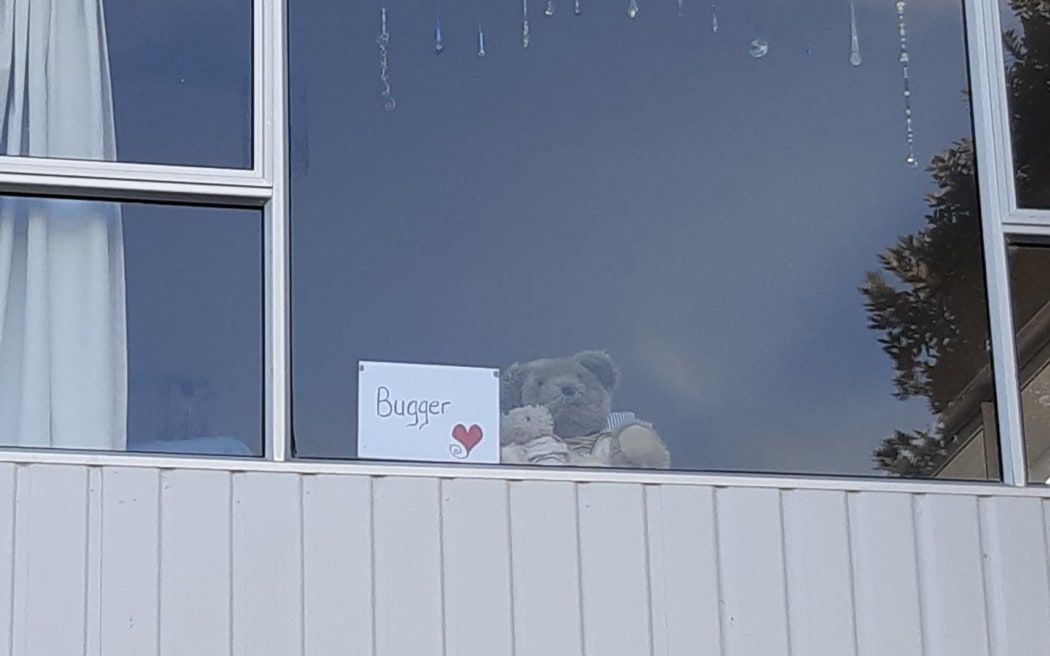 A lockdown bear spotted in Whitianga