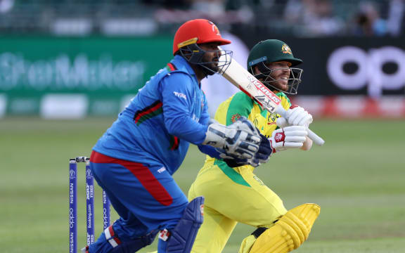 David Warner bats (plus wicketkeeper Mohammad Shahzad)