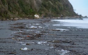 Litter on a Westland beach from the landfill.