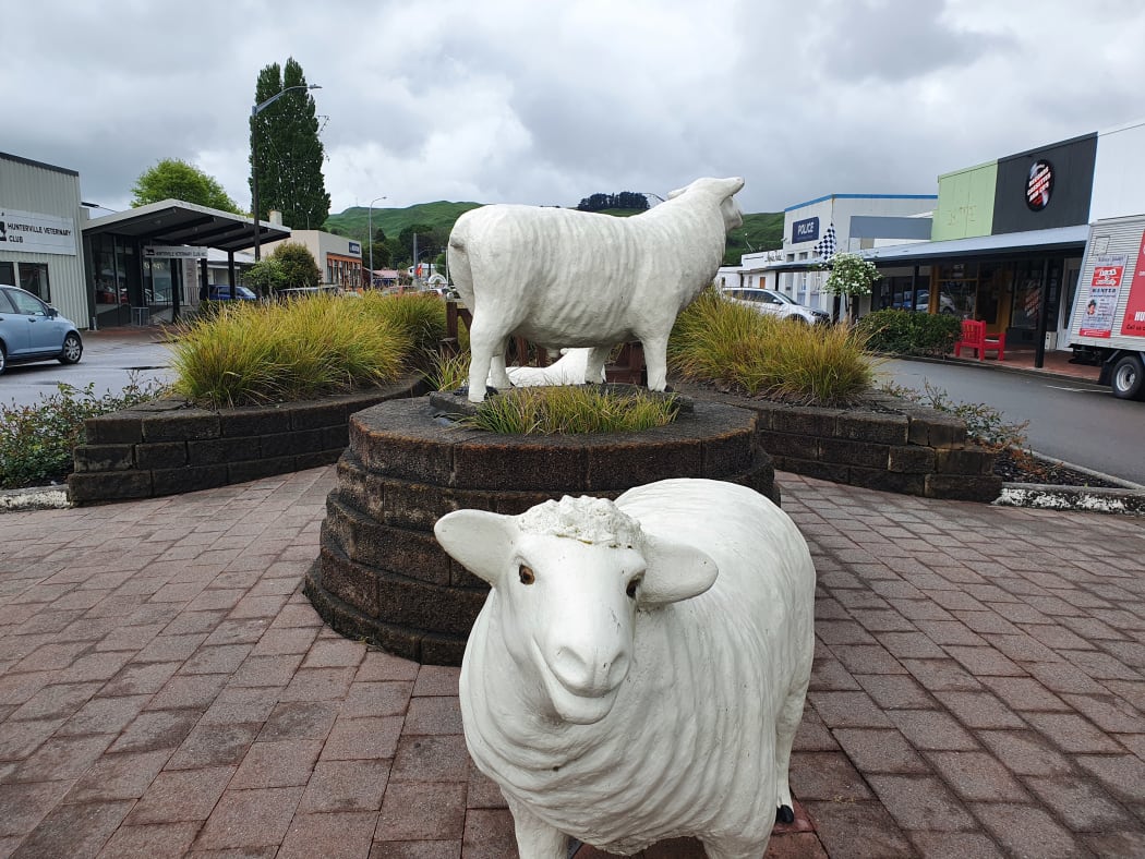 Hunterville is readying for its Shemozzle this weekend when shepherds and their dogs descend on the town to compete on a gruelling obstacle course