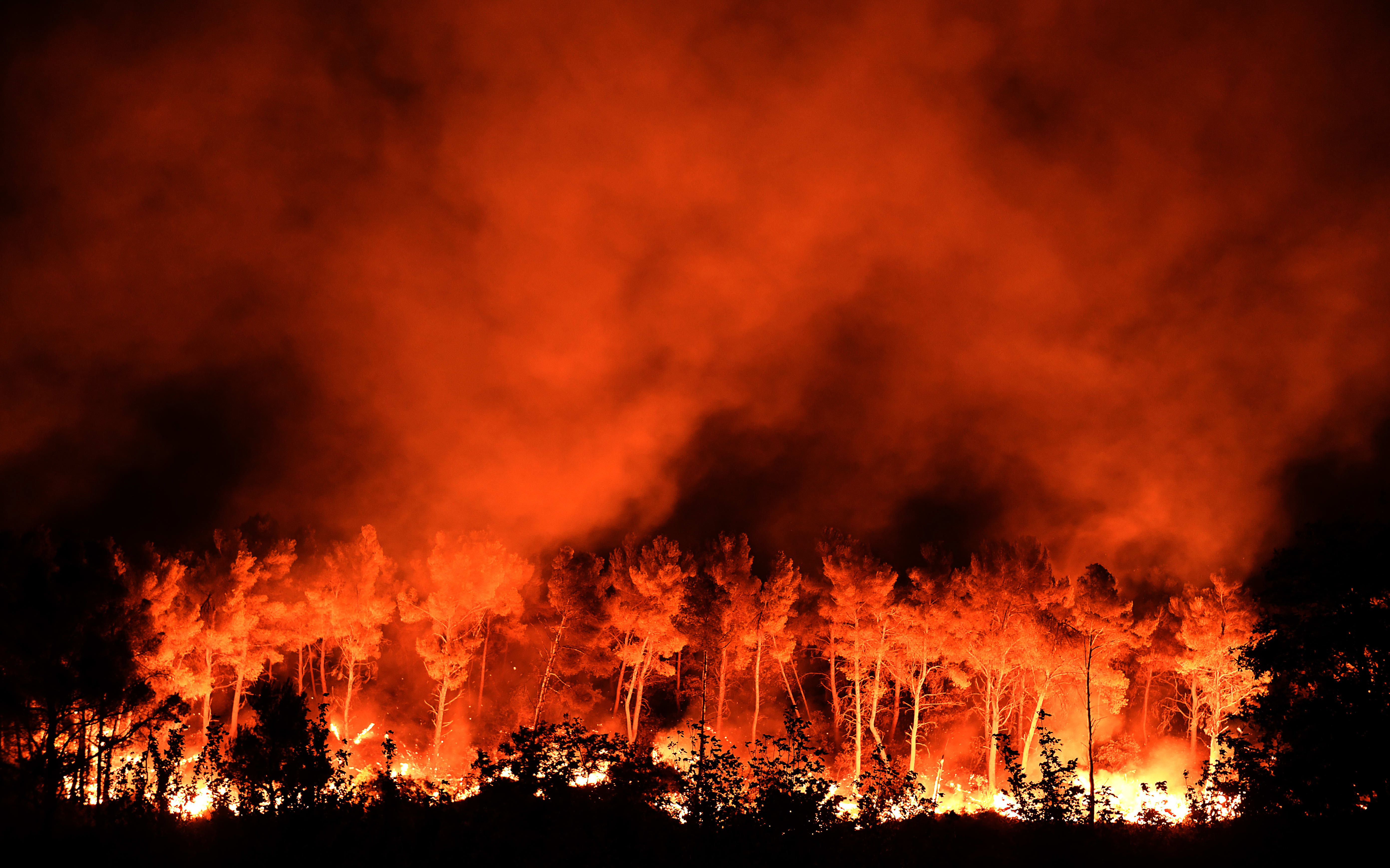 1500 firefighters are battling wildfires north of Marseille, which have forced more than 1000 people to flee their homes.