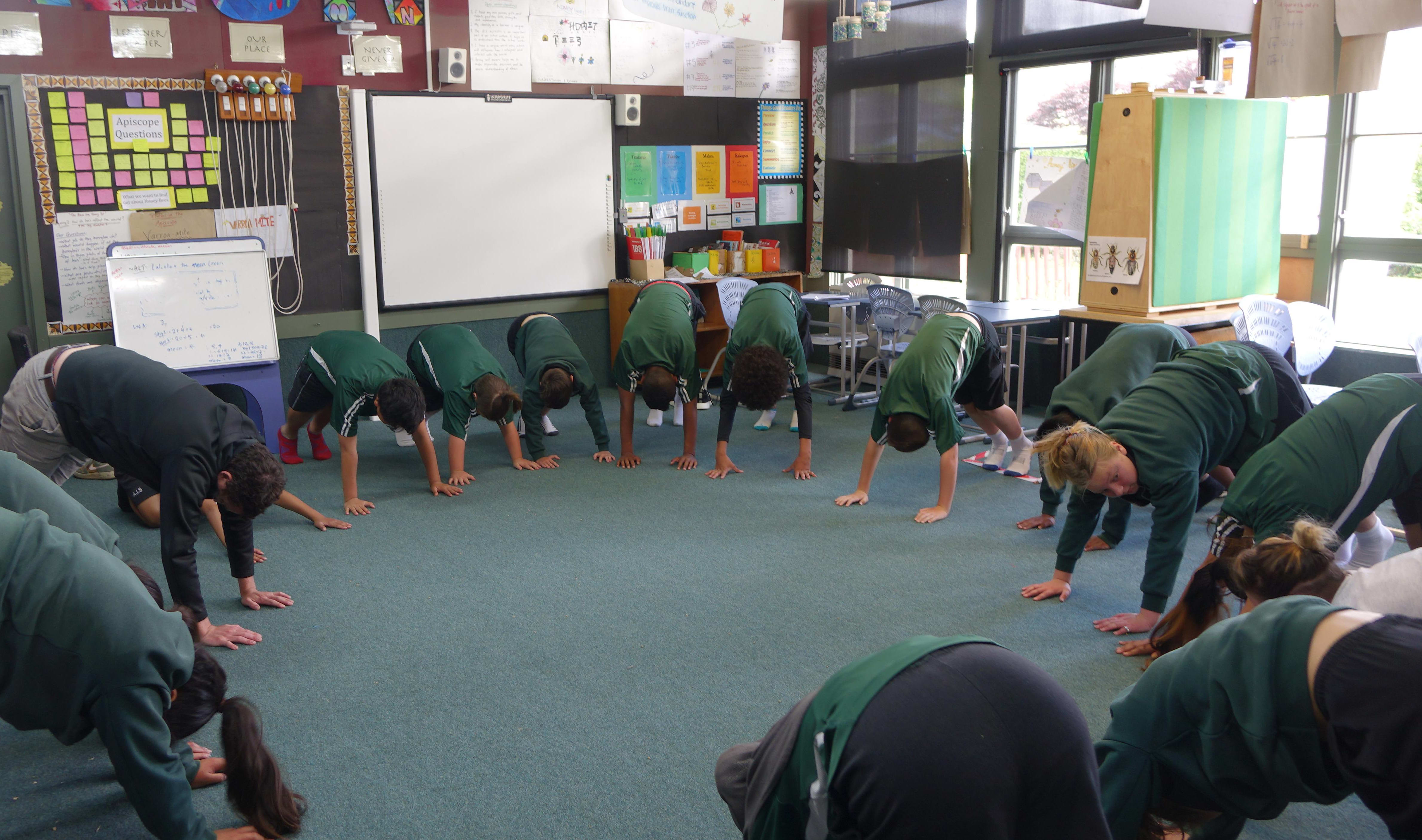 Students from Room 1 at Avalon Intermediate school do yoga.
