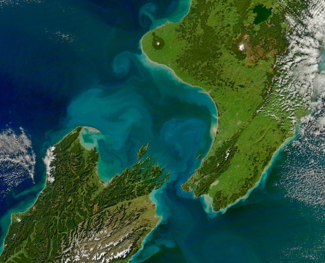 Eddies of water from rivers in Golden and Tasman Bay reach more than 100 kilometres out into greater Cook Strait.