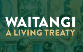Waitangi: A Living Treaty book cover