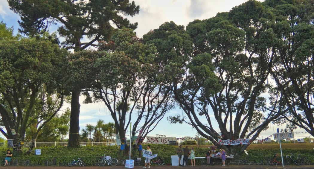 Pōhutukawa Savers protest in front of the threatened pōhutukawa trees opposite the Museum of Transport and Technology in Western Springs.