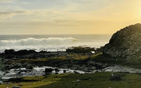 The Chatham Island Food Co