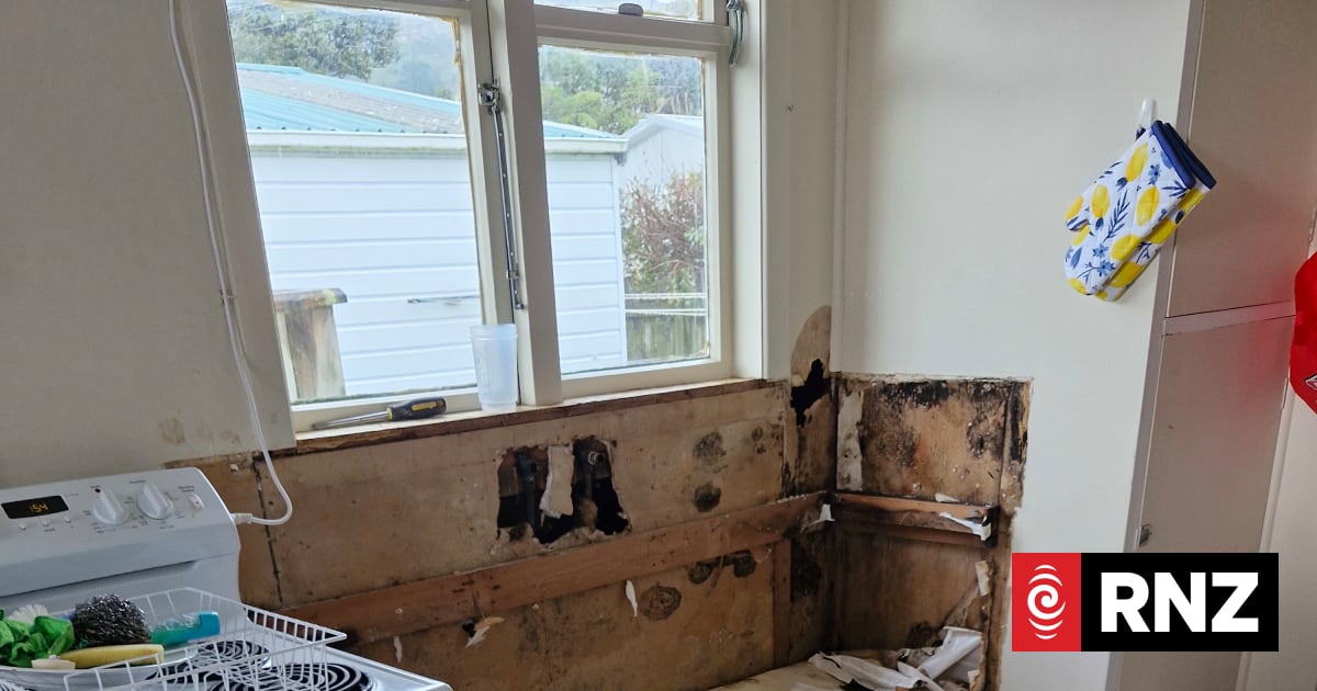 Rental with soggy floorboards and leaky roof among first to jump tribunal queue