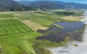 Barrytown Flats north of Greymouth