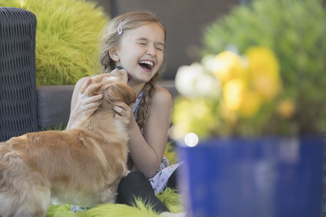 Dog kissing laughing girl on patio. (Photo by CAIA IMAGE/SCIENCE PHOTO LIBRARY / NEW / Science Photo Library via AFP)