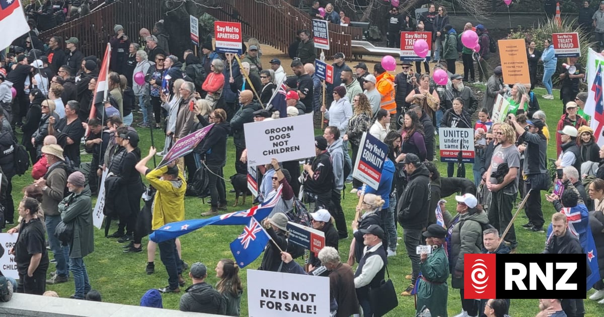 Wellington protest: Hundreds march to Parliament, extra police on ...