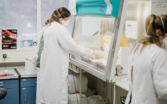 Researchers test waste water samples from managed isolation facilities.