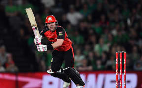 Tim Seifert in action while batting for Melbourne Renegades against the Melbourne Stars in a Big Bash League match, 12 January 2025.  Copyright Photo: Raghavan Venugopal / www.photosport.nz