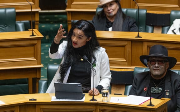 Te Pāti Māori MP, Hana-Rawhiti Maipi-Clarke speaking in the Budget Debate.