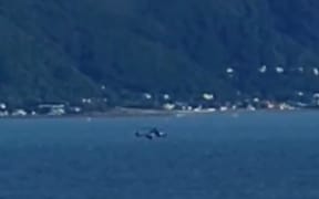 Helicopter.