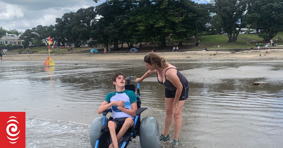 Wheelchair users call for accessible beaches: 'Can you imagine the freedom?' - Vimarsana News