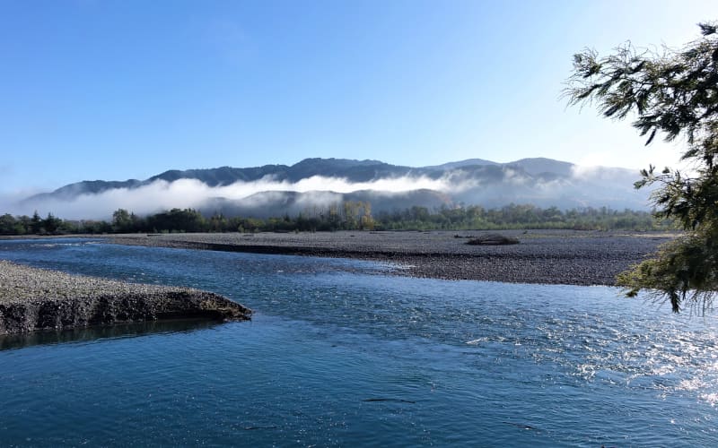 Dropping aquifer levels in Marlborough linked to falling riverbed ...
