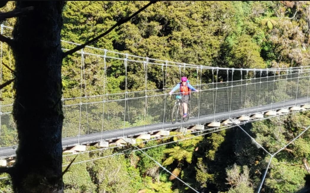 The 85km Timber Trail in central North Island goes through massive rimus and over long swing bridges in Pureora Forest Park.