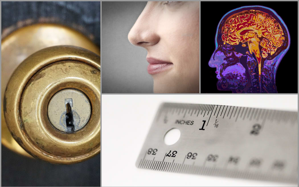 Doorknob, nose, brain scan, imperial measurements