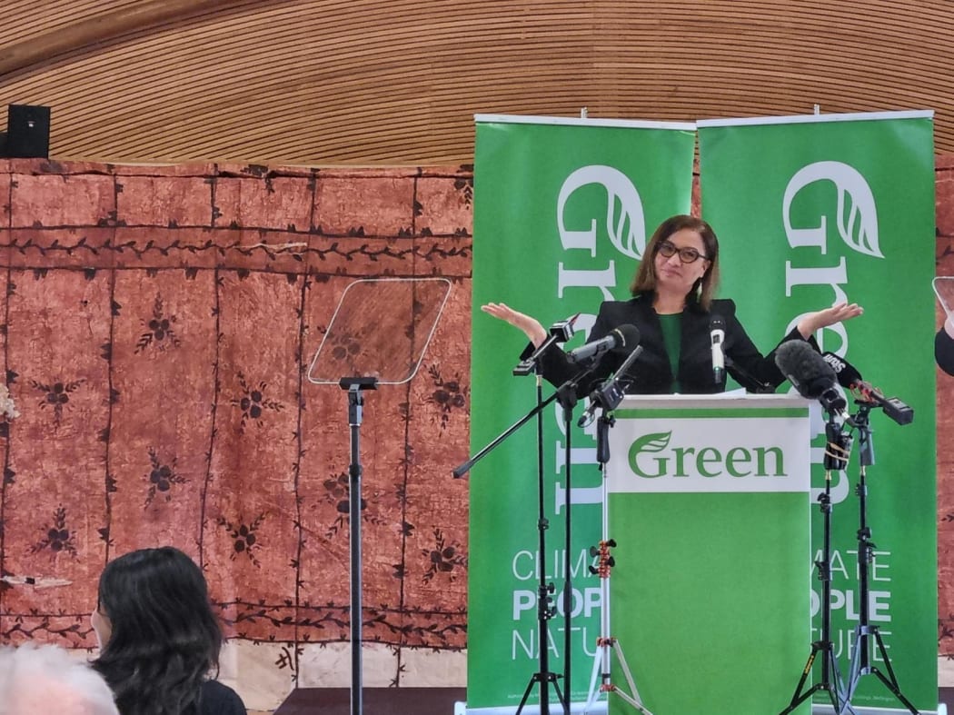Green Party co-leader Marama Davidson speaking at the party's AGM in Auckland on 9 July, 2023.