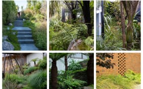 Xanthe White on how to use native plants