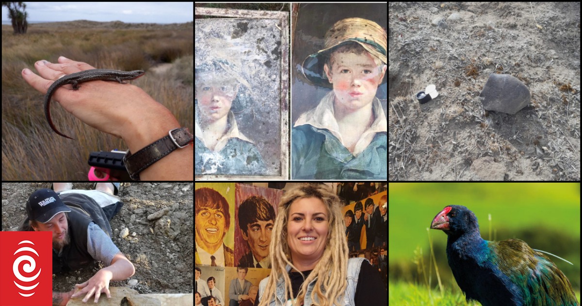 Weird, wacky and wonderful: Past Kiwi discoveries - Vimarsana News