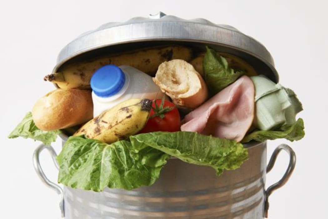 Beth Hampton is on a mission to feed our hungry planet.