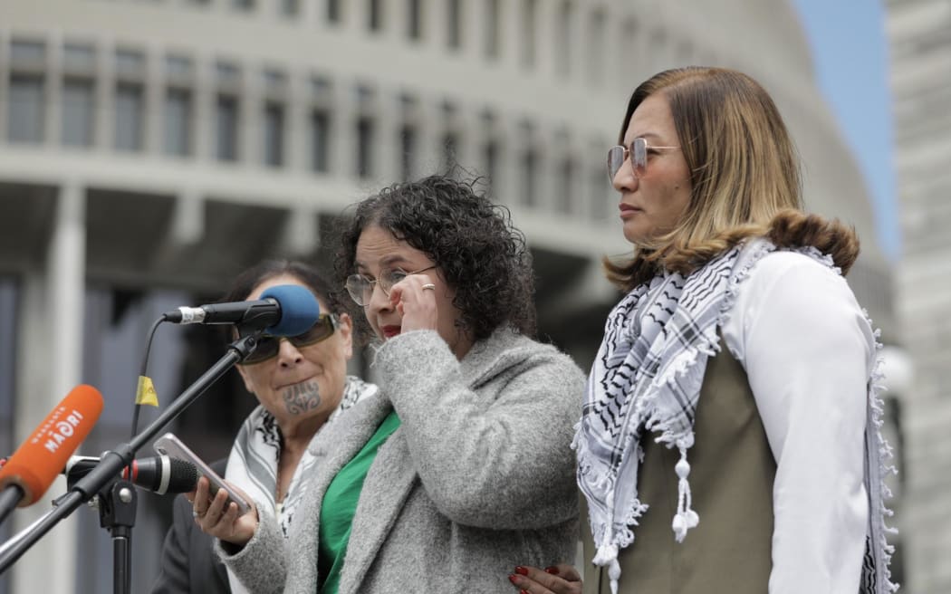 Protesters gathered at Parliament on 12 December to call for an immediate and permanent ceasefire in Gaza.